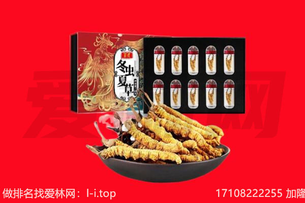 德城区回收虫草.jpg